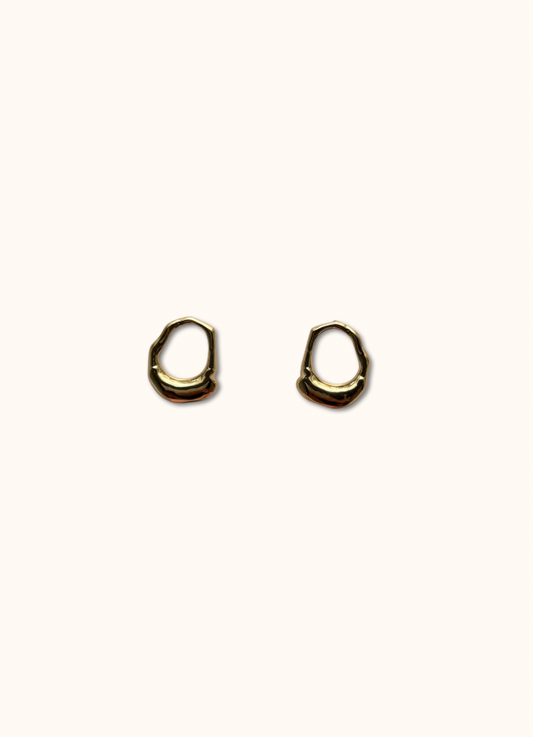 Oval Earring